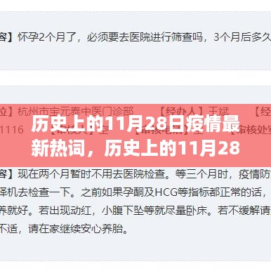 历史上的11月28日疫情热词深度解读与影响分析