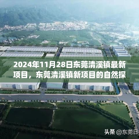 东莞清溪镇新项目自然探索之旅，追寻内心宁静与平和的旅程（2024年11月28日最新动态）