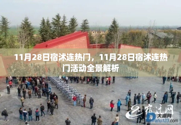 11月28日宿沭连热门活动全景解析，一网打尽当地热门盛事