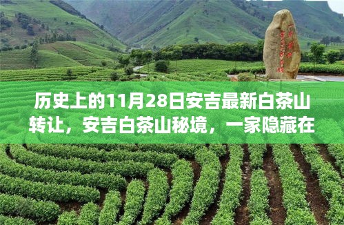 ruixuefenfei 第7页