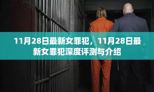 11月28日最新女罪犯深度解析与介绍