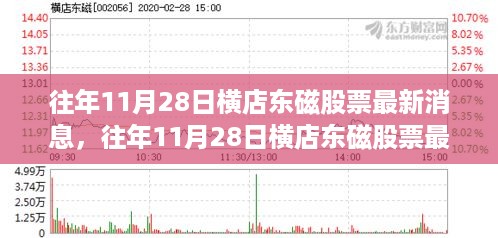 往年11月28日横店东磁股票最新消息及分析指南，适合初学者与进阶用户的指南
