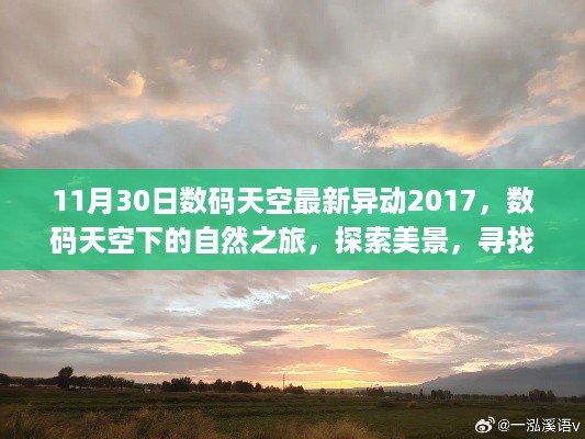 nifengfeiyang 第8页