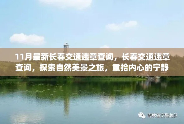 长春交通违章查询最新更新，探索自然美景，重拾内心宁静