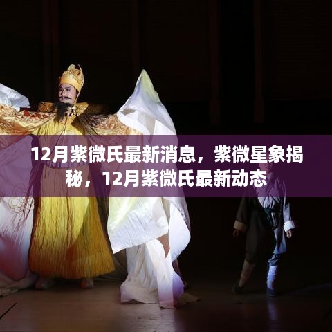 揭秘紫微星座运势，最新动态与星象预测，12月运势解读