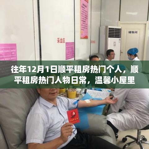 温馨小屋里的暖心故事，顺平租房热门人物日常与往年租房回顾