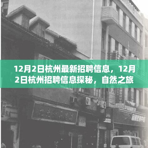 12月2日杭州最新招聘信息探秘，自然之旅，寻找内心的平和与宁静之旅
