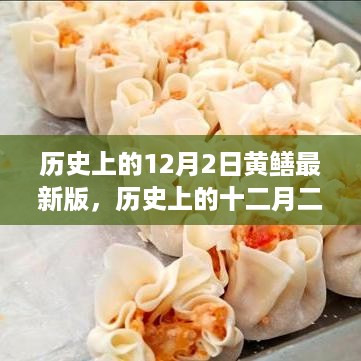 探寻黄鳝背后的故事，历史上的十二月二日最新版揭秘