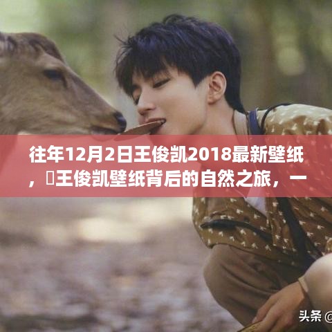 王俊凯最新壁纸背后的自然之旅，寻找内心平静的奇妙冒险之旅