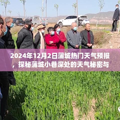 蒲城小巷深处的天气秘密与独特小店，天气预报探秘之旅