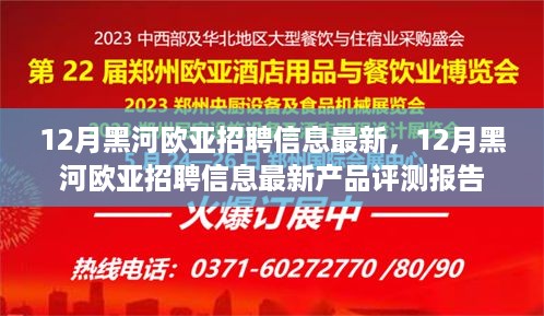 12月黑河欧亚最新招聘信息及其产品评测报告详解