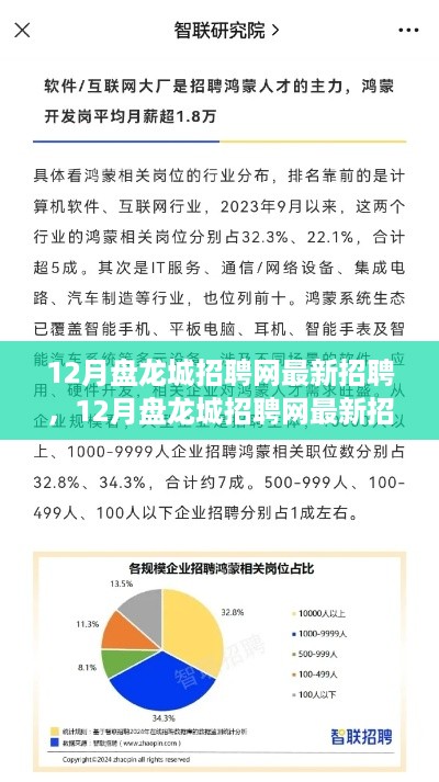 12月盘龙城招聘网最新招聘现象解析，利弊探讨与个人立场