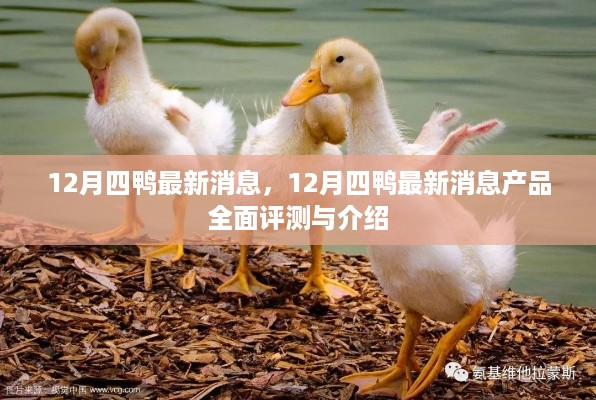 pishajianjin 第6页