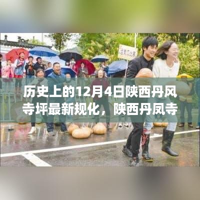 陕西丹凤寺坪规划新篇章，追溯历史脉络，共筑时代辉煌，12月4日最新规划发布