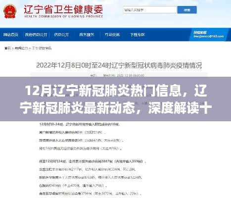 辽宁新冠肺炎最新动态与深度解读，十二月热门信息解析