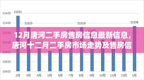 唐河十二月二手房市场走势及最新售房信息解析