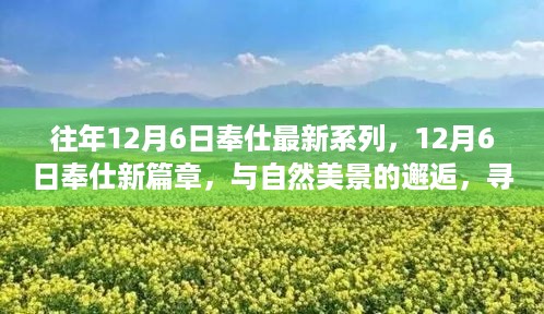 jinshiweikai 第6页