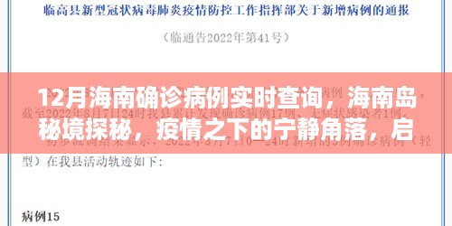 海南疫情下的秘境探秘，寻找内心的平和绿洲与实时确诊病例查询