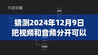 视频与音频分离技术助力非实时场景优化，未来视听新体验的解锁之路（预测2024年12月9日）