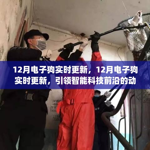 12月电子狗实时更新，智能科技前沿的动态概览