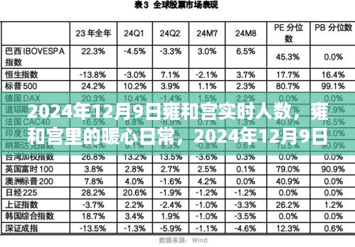 雍和宫暖心日常，揭秘2024年12月9日的实时人数与奇遇