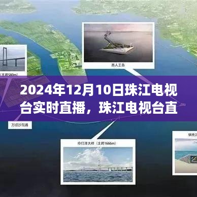 yarenshenzhi 第6页