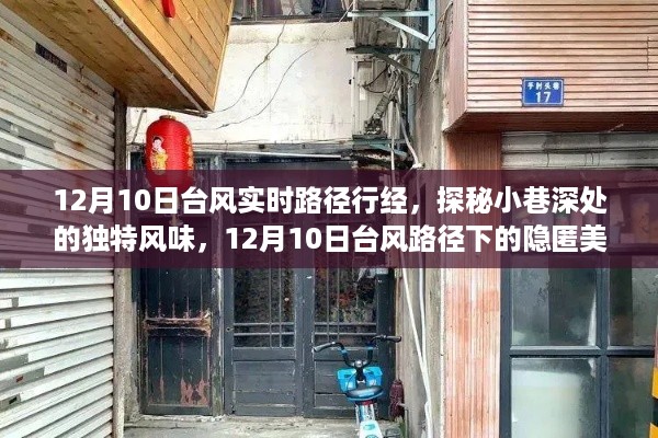 台风下的美食秘境，探寻小巷深处的独特风味与隐匿美食宝藏（12月10日实时路径）