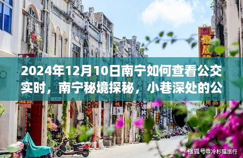 南宁公交实时查询指南，秘境探秘，小巷深处的实时信息驿站（2024年12月版）