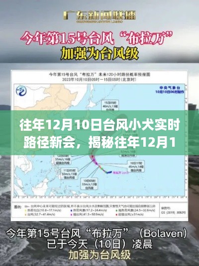 xiamakanhua 第6页