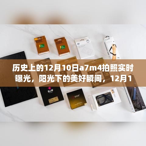 12月10日A7M4阳光下的拍照之旅，实时曝光记录美好瞬间