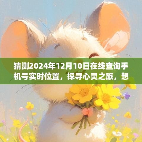 未来手机导航，探寻心灵之旅，实时定位手机号，引领未来导航之旅的想象与探索