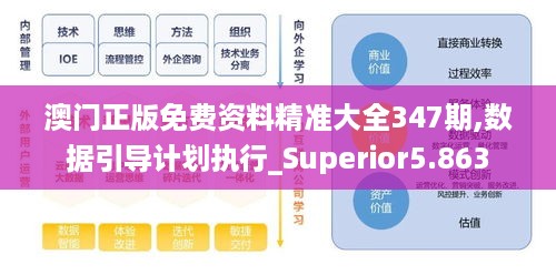 澳门正版免费资料精准大全347期,数据引导计划执行_Superior5.863