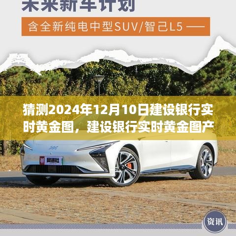 建设银行实时黄金图产品评测与用户分析，特性、体验、竞品对比及用户洞察（2024年预测版）