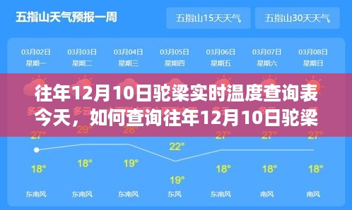 往年12月10日驼梁实时温度查询操作指南，今日查询攻略及操作指南