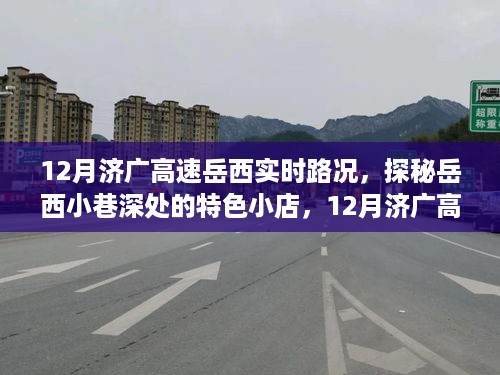 探秘岳西小巷特色小店，揭秘岳西高速路况下的意外惊喜与实时路况分析