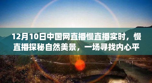 12月10日中国网直播慢直播，探寻自然美景的奇妙旅程