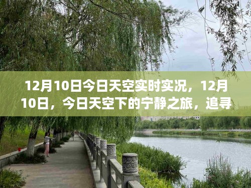 yixingchuanfei 第5页
