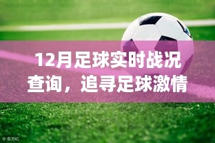 12月足球战况查询，追寻激情与宁静的奇妙旅程，足球与自然美景的邂逅时刻