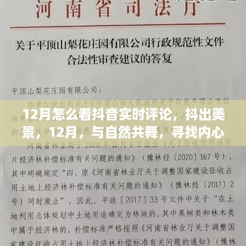 buzhibujue 第5页