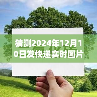 揭秘未来快递物流新动态，如何预测并实时查看2024年快递图片？