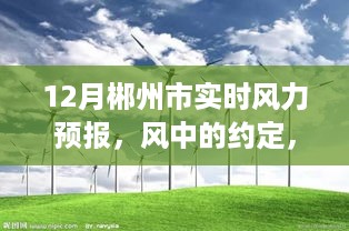 郴州市十二月实时风力预报，风语故事中的约定