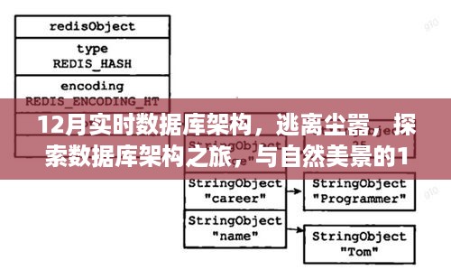 jinshanjinmei 第4页