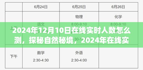 探秘自然秘境，揭秘在线实时人数背后的旅行故事，揭秘如何测量2024年在线实时人数统计。