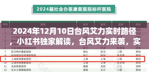 台风艾力来袭，小红书独家解读实时路径与应对指南（2024年12月10日更新）