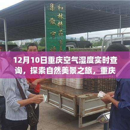 12月10日重庆空气湿度实时查询，诗意宁静的自然美景探索之旅
