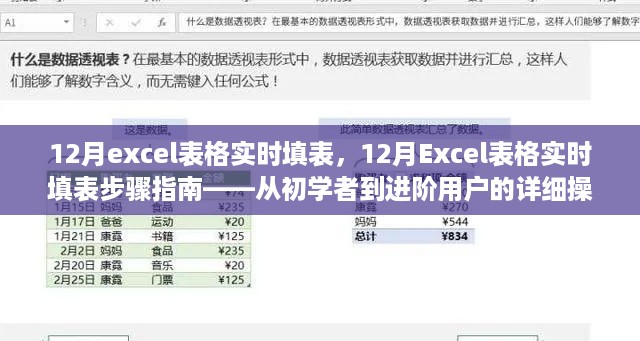 从入门到精通，12月Excel表格实时填表步骤指南与操作手册