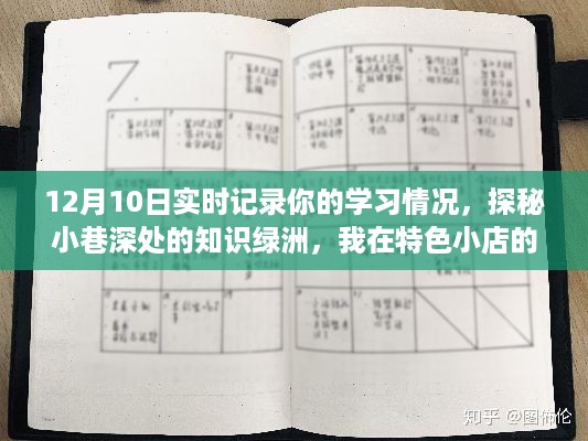 探秘小巷深处的知识绿洲，我在特色小店的实时学习日志（12月10日）