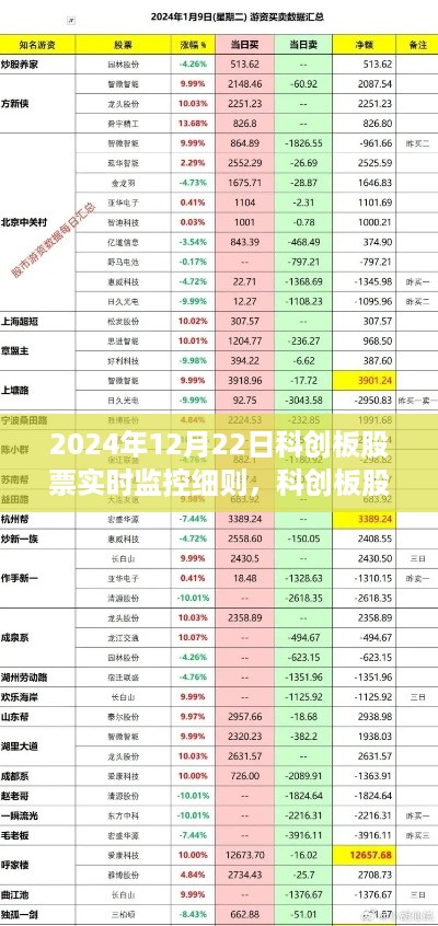 科创板股票实时监控细则，开启未来交易新视界先锋之路