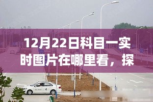 chongyanniaoji 第3页