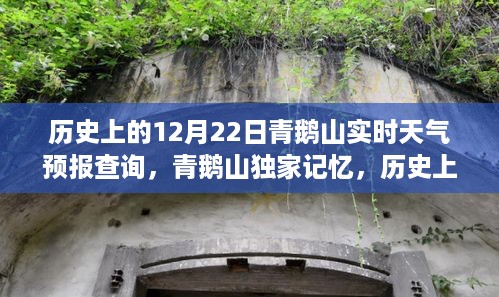 历史上的暖心冬日天气预报，青鹅山实时天气预报查询独家记忆回顾